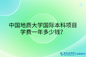 中國地質大學國際本科項目學費一年多少錢？