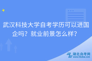 武漢科技大學自考學歷可以進國企嗎？就業(yè)前景怎么樣？
