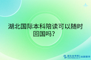 湖北國際本科陪讀可以隨時回國嗎？