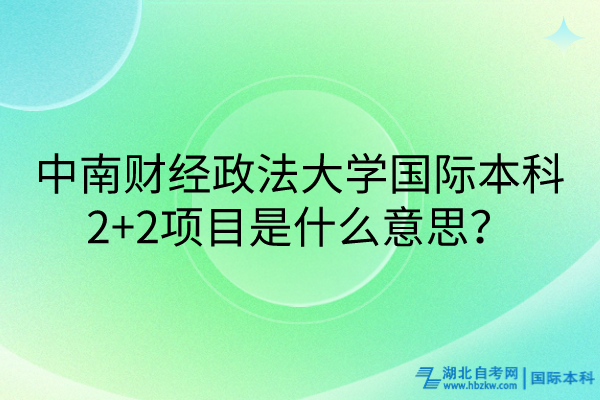 中南財經(jīng)政法大學(xué)國際本科2+2項目是什么意思？