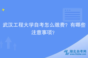 武漢工程大學(xué)自考?怎么繳費(fèi)？有哪些注意事項(xiàng)？