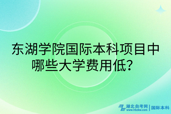 東湖學院國際本科項目中哪些大學費用低？