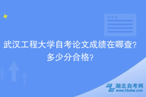 武漢工程大學(xué)自考論文成績在哪查？多少分合格？