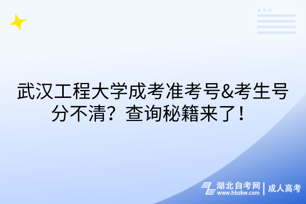 武漢工程大學(xué)成考準考號&考生號分不清？查詢秘籍來了！
