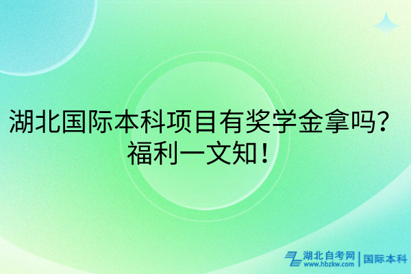 湖北國際本科項目有獎學金拿嗎？福利大放送！