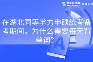 在湖北同等學(xué)力申碩統(tǒng)考備考期間，為什么需要每天背單詞？