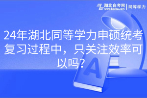 24年湖北同等學(xué)力申碩統(tǒng)考復(fù)習(xí)過程中，只關(guān)注效率可以嗎？