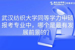 武漢紡織大學同等學力申碩報考專業(yè)中，哪個是最有發(fā)展前景的？