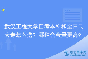武漢工程大學自考本科和全日制大專怎么選？哪種含金量更高？