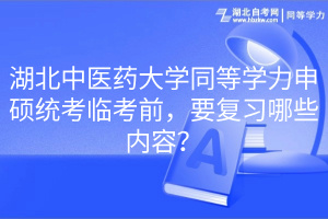 湖北中醫(yī)藥大學(xué)同等學(xué)力申碩統(tǒng)考臨考前，要復(fù)習(xí)哪些內(nèi)容？