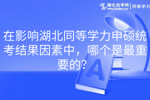 在影響湖北同等學力申碩統(tǒng)考結(jié)果因素中，哪個是最重要的？