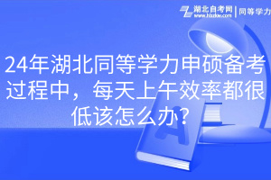 24年湖北同等學力申碩備考過程中，每天上午效率都很低該怎么辦？