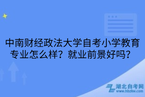 中南財(cái)經(jīng)政法大學(xué)自考小學(xué)教育專(zhuān)業(yè)怎么樣？就業(yè)前景好嗎？