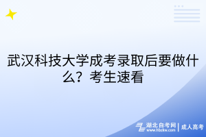 武漢科技大學成考錄取后要做什么？考生速看