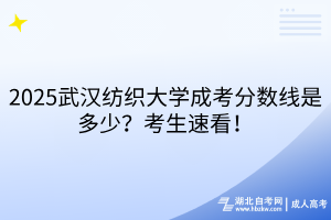 2025武漢紡織大學(xué)成考分?jǐn)?shù)線是多少？考生速看！