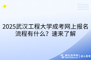 2025武漢工程大學(xué)成考網(wǎng)上報名流程有什么？速來了解