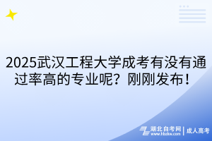 2025武漢工程大學(xué)成考有沒有通過率高的專業(yè)呢？剛剛發(fā)布！