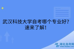 武漢科技大學自考哪個專業(yè)好？速來了解！