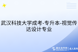 武漢科技大學(xué)成考-專升本-視覺傳達(dá)設(shè)計專業(yè)