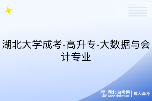 湖北大學(xué)成考-高升專-大數(shù)據(jù)與會計專業(yè)