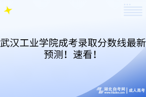 武漢工業(yè)學(xué)院成考錄取分?jǐn)?shù)線最新預(yù)測！速看！