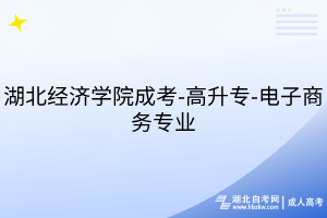 湖北經濟學院成考-高升專-電子商務專業(yè)
