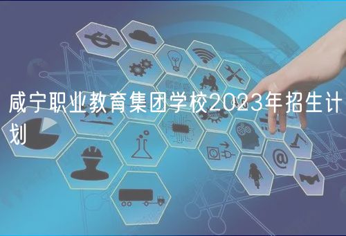 咸寧職業(yè)教育集團學校2023年招生計劃