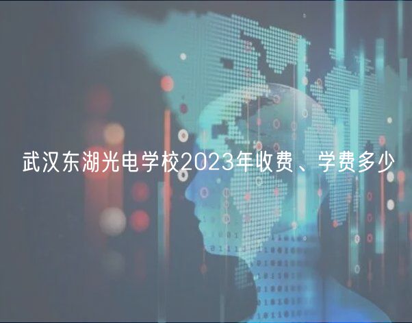 武漢東湖光電學校2023年收費、學費多少