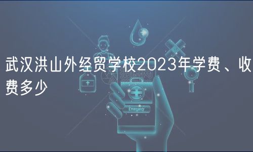 武漢洪山外經(jīng)貿(mào)學(xué)校2023年學(xué)費(fèi)、收費(fèi)多少