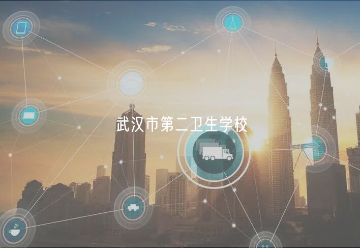 武漢市第二衛(wèi)生學校