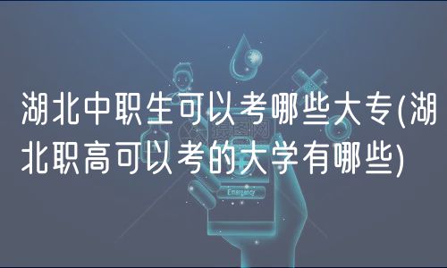 湖北中職生可以考哪些大專(湖北職高可以考的大學(xué)有哪些)