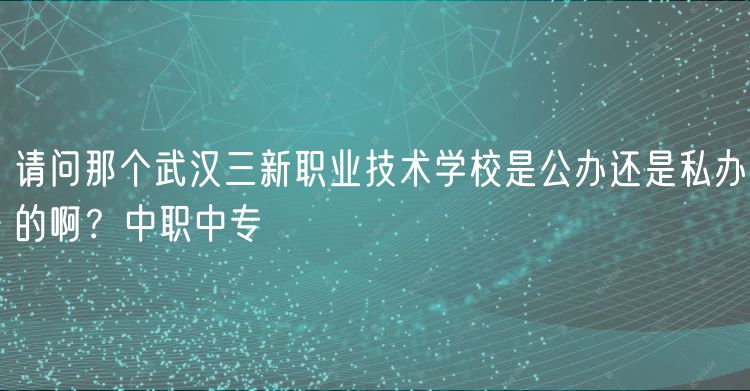 請問那個(gè)武漢三新職業(yè)技術(shù)學(xué)校是公辦還是私辦的??？中職中專