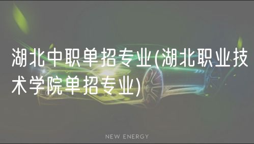 湖北中職單招專(zhuān)業(yè)(湖北職業(yè)技術(shù)學(xué)院?jiǎn)握袑?zhuān)業(yè))