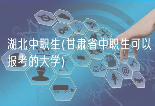 湖北中職生(湖北省中職生可以報考的大學)