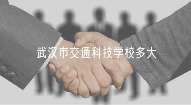 武漢市交通科技學校多大