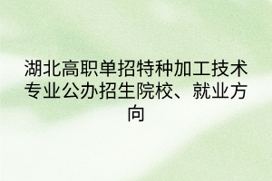 湖北高職單招特種加工技術(shù)專業(yè)公辦招生院校、就業(yè)方向