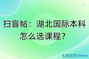 掃盲帖：湖北國(guó)際本科怎么選課程？