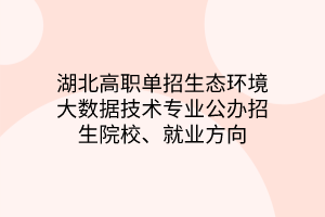 湖北高職單招生態(tài)環(huán)境大數(shù)據(jù)技術(shù)專業(yè)公辦招生院校、就業(yè)方向
