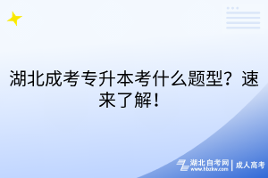 湖北成考專升本考什么題型？速來了解！