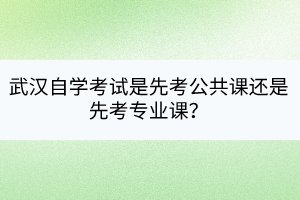武漢自學(xué)考試是先考公共課還是先考專業(yè)課？