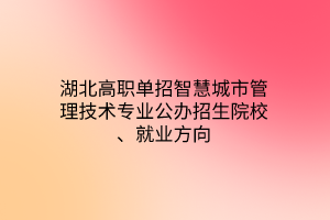 湖北高職單招智慧城市管理技術(shù)專業(yè)公辦招生院校、就業(yè)方向
