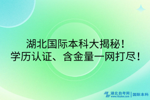 湖北國際本科大揭秘！學(xué)歷認(rèn)證、含金量一網(wǎng)打盡！