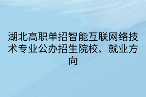 湖北高職單招智能互聯(lián)網(wǎng)絡(luò)技術(shù)專業(yè)公辦招生院校、就業(yè)方向