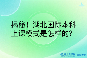 揭秘！湖北國(guó)際本科的上課模式是怎樣的？