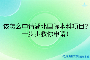 該怎么申請(qǐng)湖北國(guó)際本科項(xiàng)目？一步步教你申請(qǐng)！