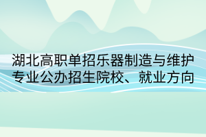 湖北高職單招樂(lè)器制造與維護(hù)專業(yè)公辦招生院校、就業(yè)方向