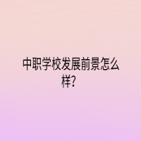 中職學校發(fā)展前景怎么樣？