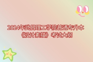 2024年武昌理工學院普通專升本《設(shè)計素描》考試大綱