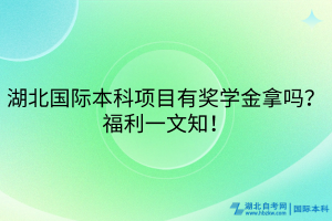 湖北國(guó)際本科項(xiàng)目有獎(jiǎng)學(xué)金拿嗎？福利一文知！
