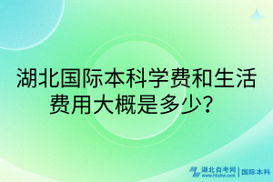 湖北國(guó)際本科學(xué)費(fèi)和生活費(fèi)用大概是多少？